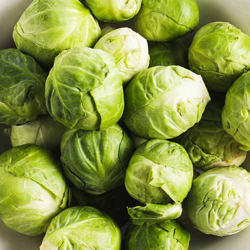 BrusselsSprouts.jpg