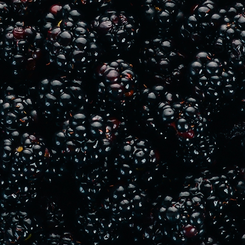 blackberries.jpg