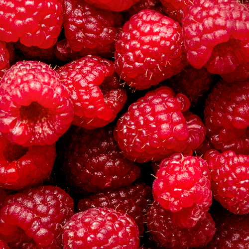raspberries.jpg